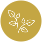 icon-groei