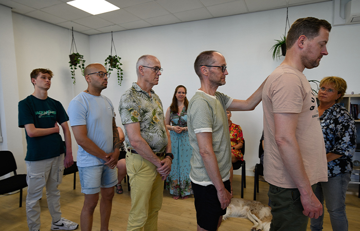 systemische-proefdag