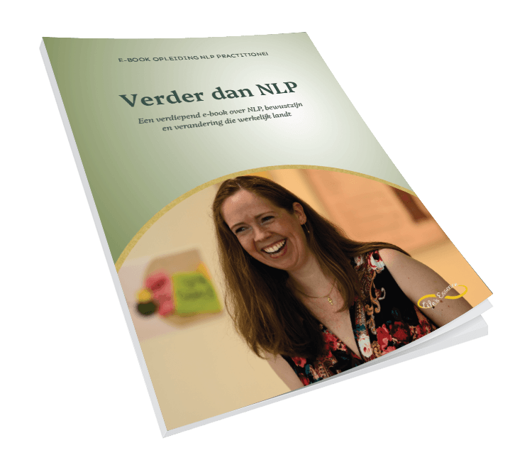 e-boek-nlp-practitioner