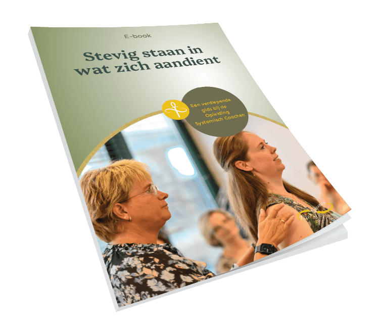 e-boek-systemisch-coachen-stevig-staan-in-wat-zich-aandient